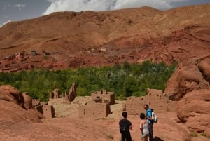 Fra Marrakesh: 4-dages privat tur i Atlasbjergene og ørkenen