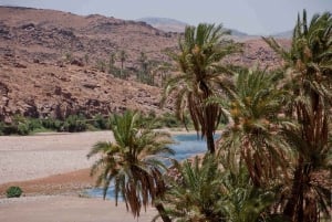 De Marraquexe: excursão privada de 4 dias às montanhas do Atlas e ao deserto