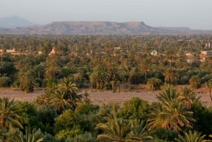 Från Marrakech: 4-dagars privat Atlasbergen & ökentur