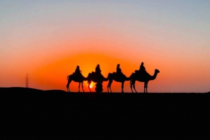 Z Marrakeszu kolacja i zachód słońca na pustyni Agafay oraz przejażdżka na wielbłądzie