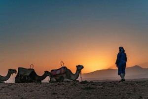 Depuis Marrakech Dîner dans le désert d'Agafay, coucher de soleil et balade à dos de chameau