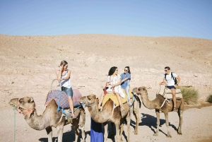From Marrakesh: Agafay Desert Quad Biking, Camels & Dinner