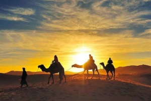 From Marrakesh: Agafay Desert Sunset, Camel Ride, and Dinner