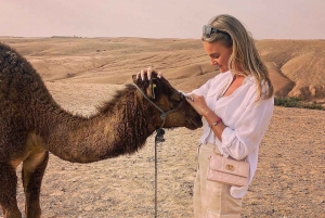 Z Marrakeszu: zachód słońca na pustyni Agafay, przejażdżka na wielbłądzie i kolacja