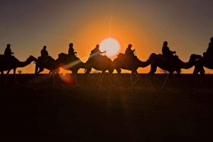 Marrakech: Puesta de sol en el desierto de Agafay, paseo en camello y cena espectáculo