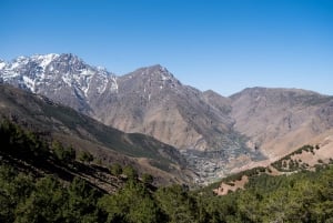 Von Marrakesch aus: Atlasgebirge Talamrout Gipfel Tageswanderung