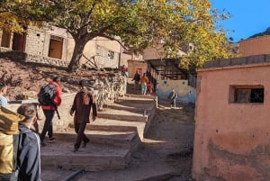 Från Marrakesh: Dagsvandring på Talamrout-toppen i Atlasbergen