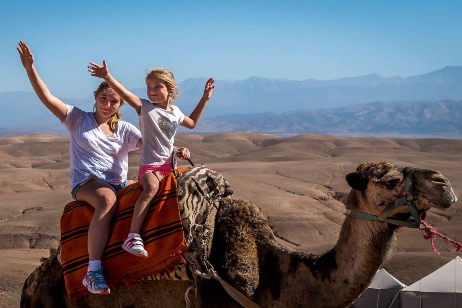 From Marrakesh: Camel Ride Agafay Desert Sunset and Dinner