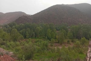 マラケシュ発：ウリカ渓谷とアトラス山脈日帰りツアー