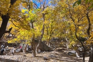 マラケシュから：アトラス山脈とアガファイ砂漠への日帰り旅行