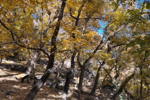 マラケシュから：アトラス山脈とアガファイ砂漠への日帰り旅行