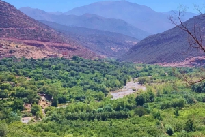 マラケシュから：アトラス山脈とアガファイ砂漠への日帰り旅行