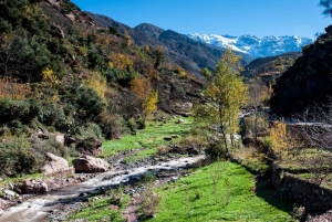 マラケシュから：アトラス山脈とアガファイ砂漠への日帰り旅行