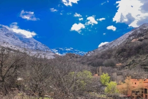 マラケシュから：アトラス山脈とアガファイ砂漠への日帰り旅行