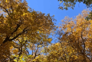 マラケシュから：アトラス山脈とアガファイ砂漠への日帰り旅行