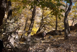 マラケシュから：アトラス山脈とアガファイ砂漠への日帰り旅行