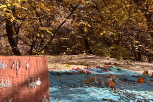 マラケシュから：アトラス山脈とアガファイ砂漠への日帰り旅行