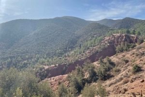 マラケシュから：アトラス山脈とアガファイ砂漠への日帰り旅行