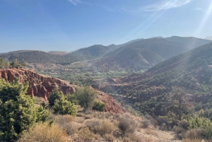 マラケシュから：アトラス山脈とアガファイ砂漠への日帰り旅行