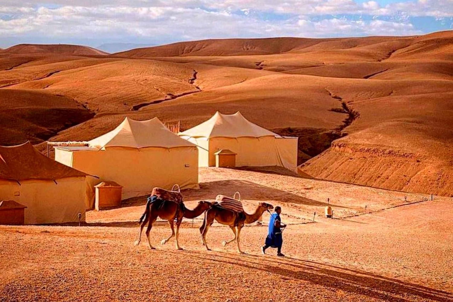 Desde Marrakech: Cena Puesta de Sol en el Desierto de Agafay, Estrellas y Espectáculo
