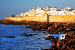 Från Marrakesh: Essaouira dagsutflykt