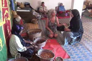 Från Marrakesh: Essaouira dagsutflykt