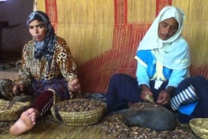 Marrakeshista: Marrakesh: Essaouira päiväretki