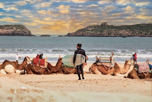 De Marrakesh: Viagem de 1 dia a Essaouira com serviço de busca no hotel