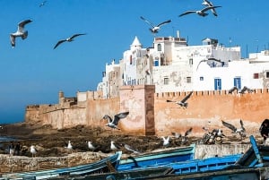 Marrakeshista: Marrakesh: Essaouira kokopäiväretki