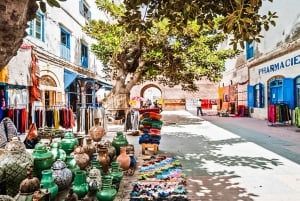 Fra Marrakesh: Heldagstur til Essaouira