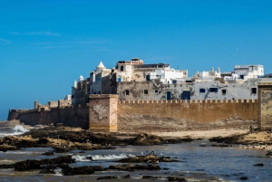From Marrakesh: Essaouira Full-Day Trip