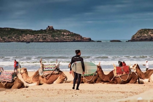 From Marrakesh: Essaouira Full-Day Trip