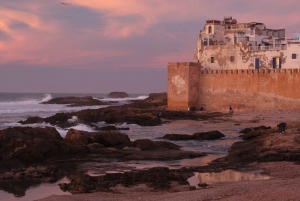 From Marrakesh: Essaouira Full-Day Trip