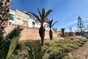 From Marrakesh: Essaouira Full-Day Trip