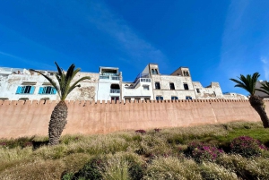 From Marrakesh: Essaouira Full-Day Trip