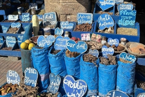 From Marrakesh: Essaouira Full-Day Trip