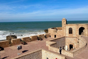 From Marrakesh: Essaouira Full-Day Trip