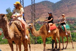 Vanuit Marrakesh: dagexcursie Ourika-vallei & Atlasgebergte