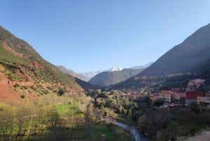 Ab Marrakesch: Ourika-Tal & Atlasgebirge - Tagestour