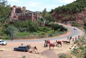 Päiväretki Marrakeshista: Ourikan laakso ja Atlasvuoret