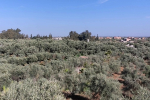 Päiväretki Marrakeshista: Ourikan laakso ja Atlasvuoret