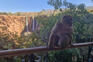From Marrakech: Ouzoud Waterfalls Day Trip and Boat Ride