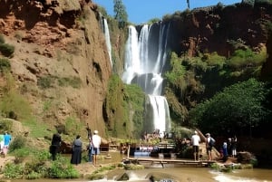 De Marrakech: Viagem de 1 dia às cachoeiras de Ouzoud e passeio de barco
