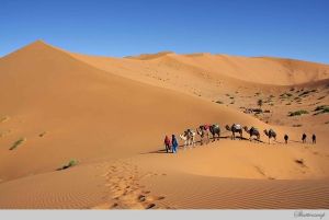 Ab Marrakesch: Private 4-tägige Sahara Desert Discovery Tour