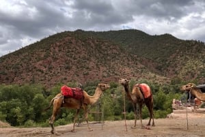 Von Marrakesch: Private Tagestour ins Atlasgebirge {5 Täler}