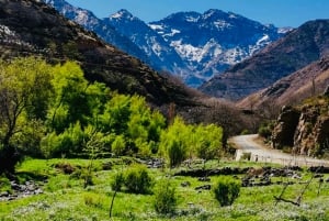 From Marrakesh: Zip-Line & Hike in the Atlas Mountains