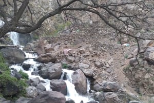 From Marrakesh: Zip-Line & Hike in the Atlas Mountains