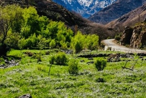 From Marrakesh: Zip-Line & Hike in the Atlas Mountains