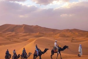 Von Merzouga aus; 1001 Arabian Overnight In Tented Camp