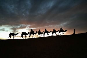 Von Merzouga aus; 1001 Arabian Overnight In Tented Camp